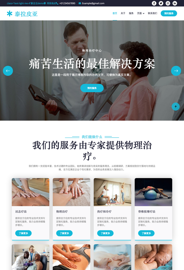 Terapia网站模板
