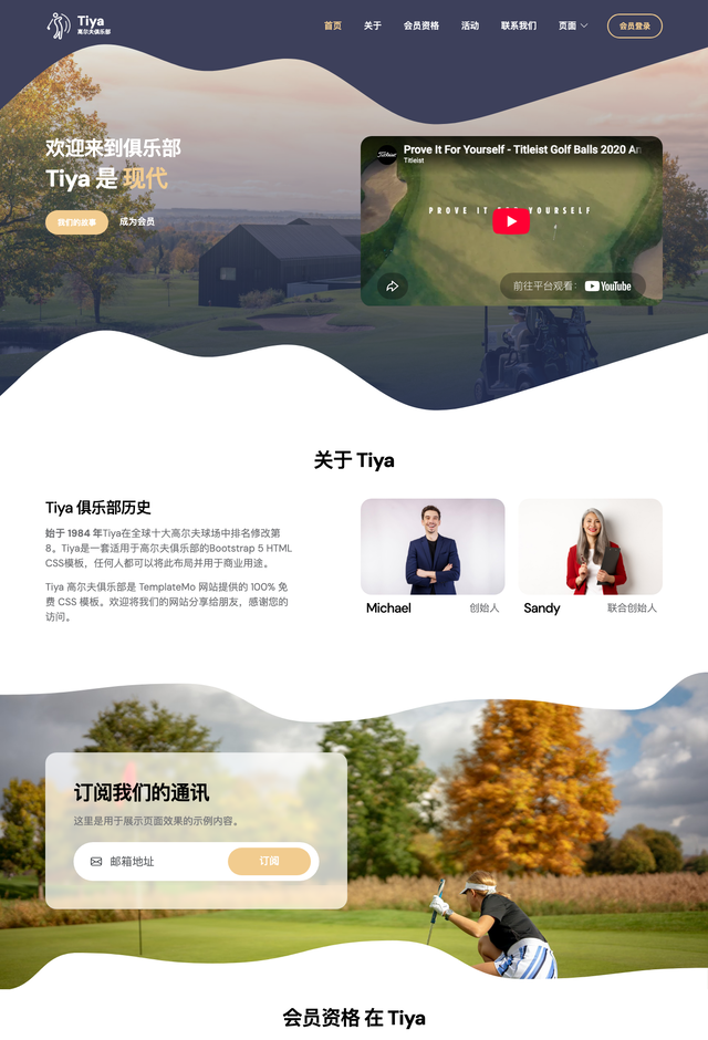Tiya网站模板